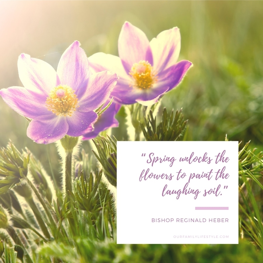 Bishop Reginald Heber Spring unlocks flowers quote