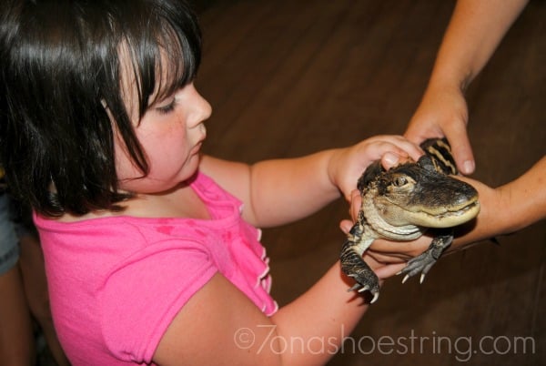 gator handling