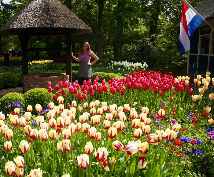 Amsterdam Tulip fields
