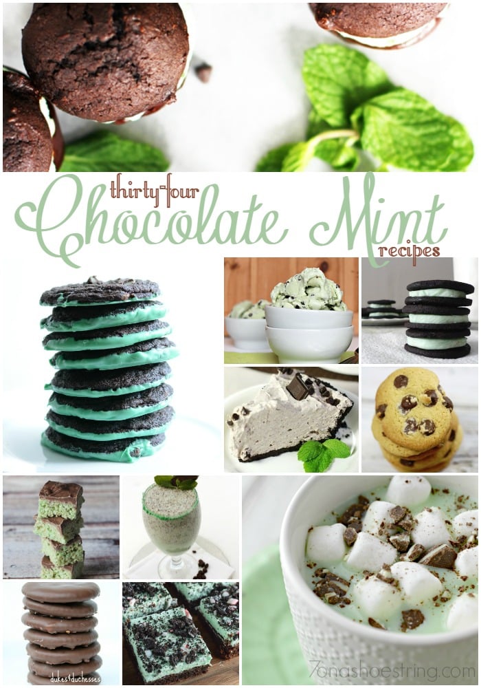 34 Chocolate Mint Recipes For National Chocolate Mint Day