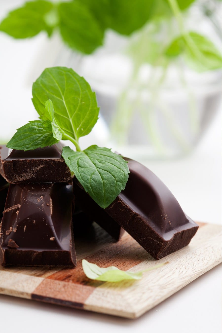 blocks of dark chocolate with mint leaves