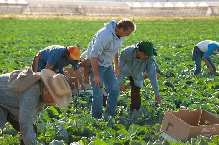 McFARLAND, USA