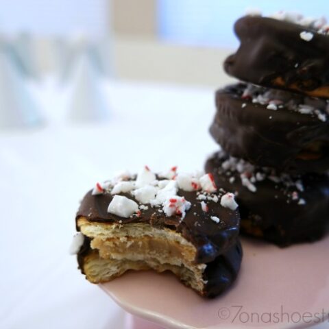 Chocolate covered Ritz cookies