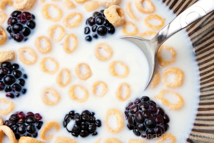 cheerios-and-blueberries