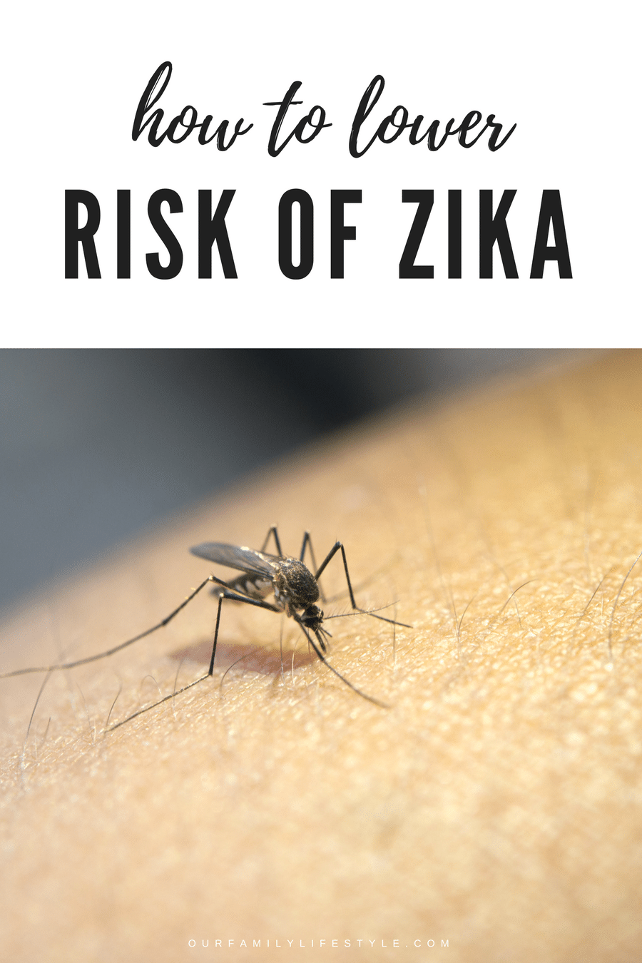 How to Lower Risk of Zika