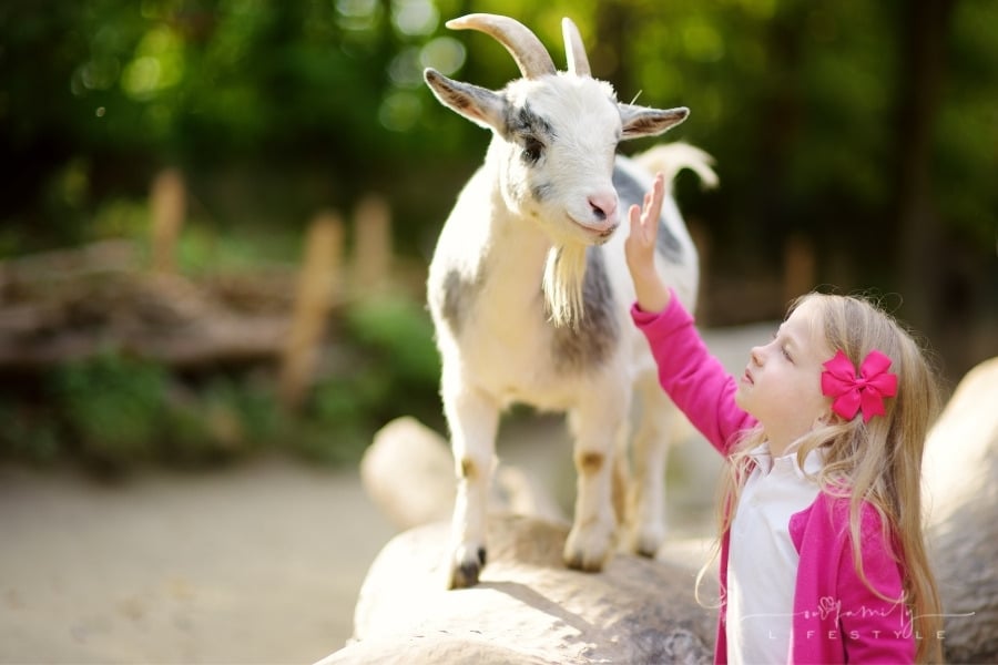 6 Interesting Places You Can Visit With Your Children - They'll Love It