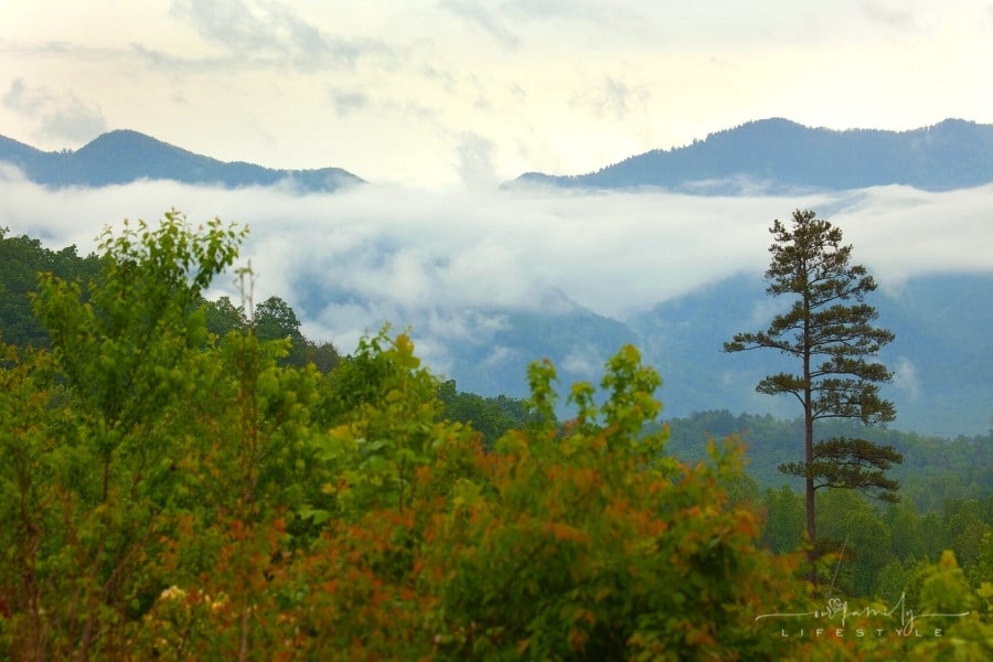 5 Reasons Why Tennessee Living Is Perfect For Families