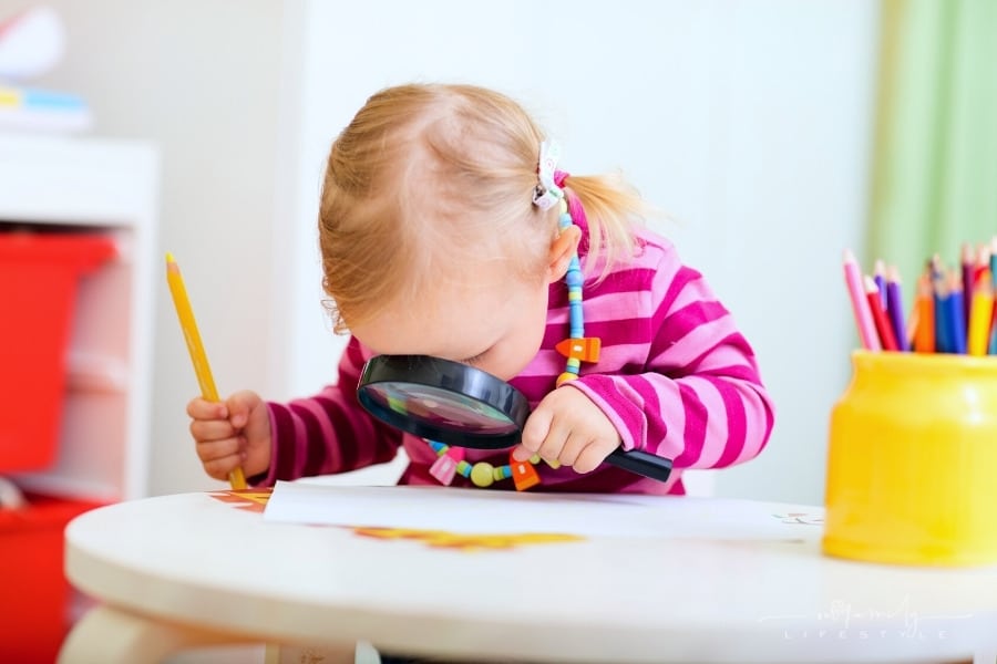 5 Important Skills Your Child Will Develop in Early Childhood Education