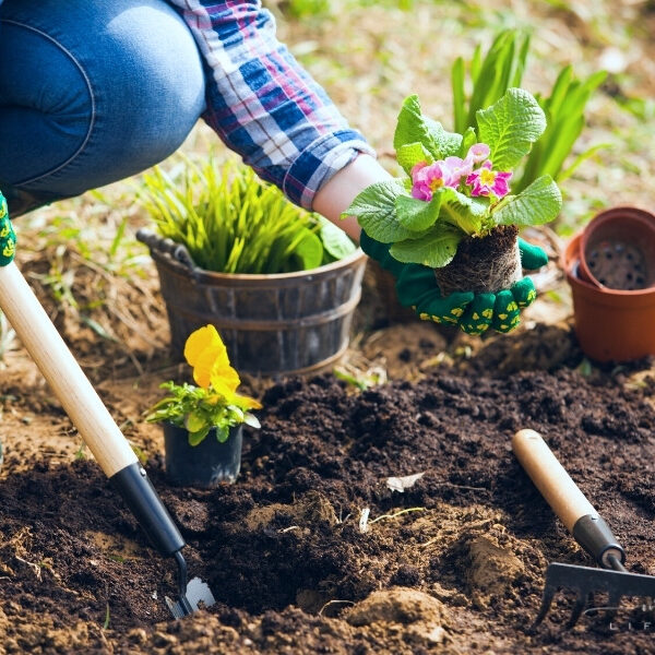 woman planting flowers into soil of yard