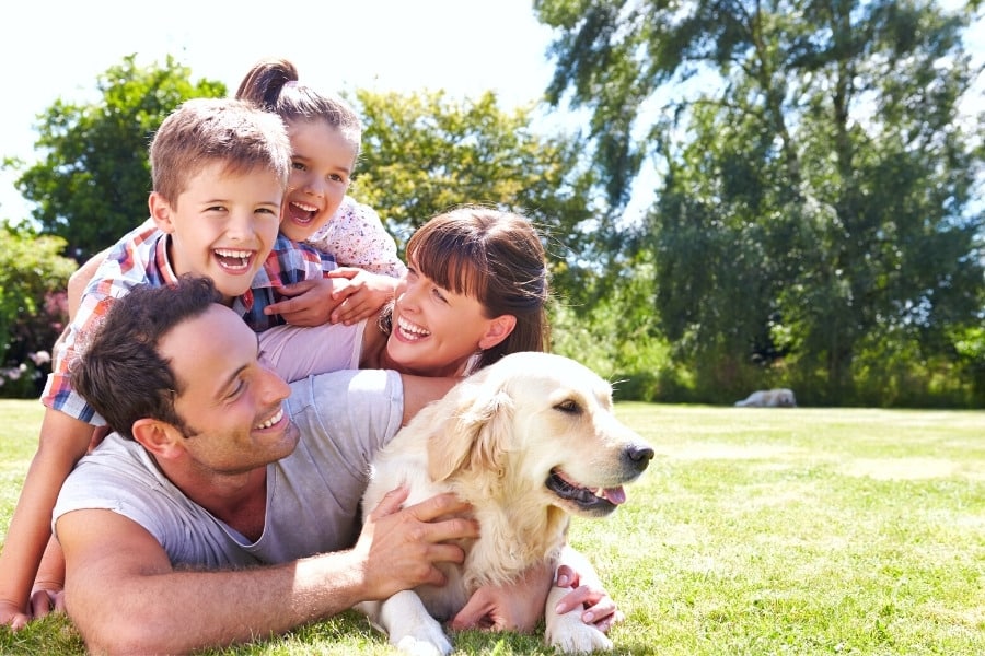 6 Dogs That Fit Perfectly Into Your Family
