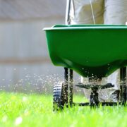 man using broadcast spreader to fertilize lawn