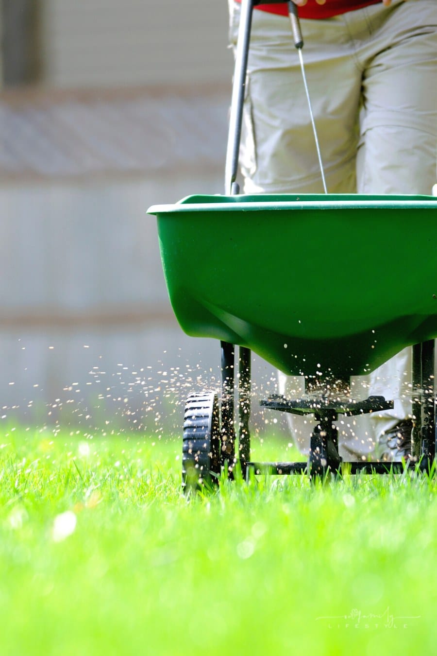 man using broadcast spreader to fertilize lawn