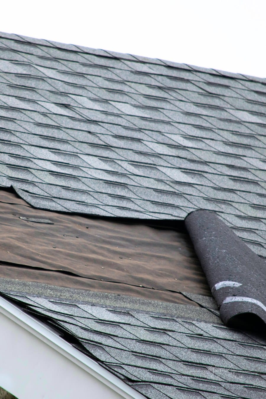 curled, damaged roof shingles on house