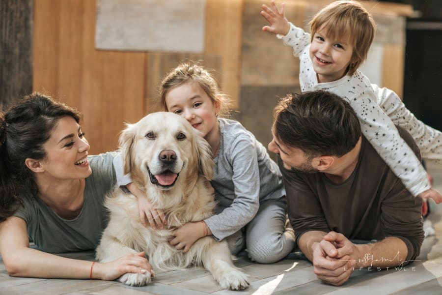 Young happy family enjoying with their golden retriever at home.