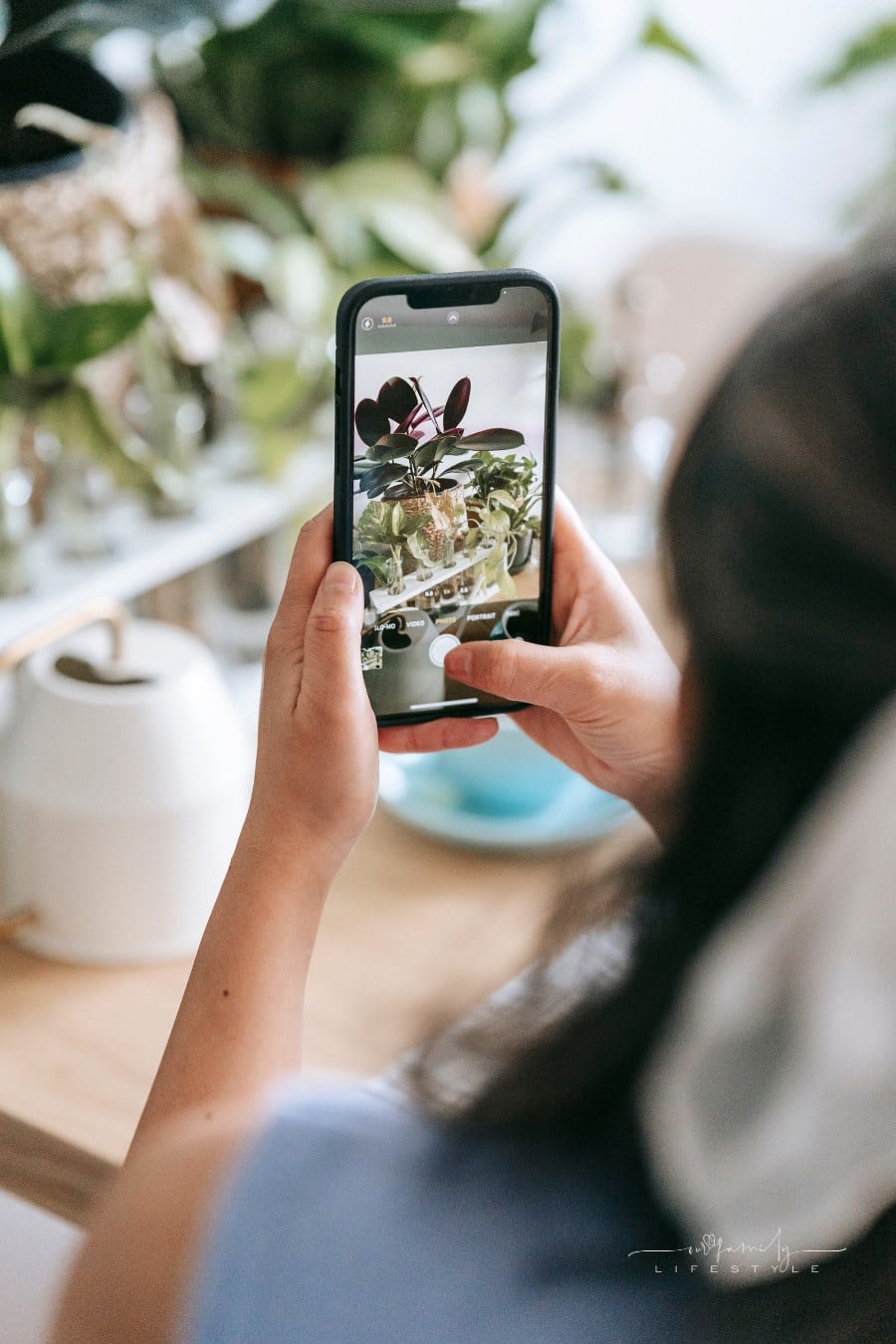 woman taking picture of potted plant with smartphone