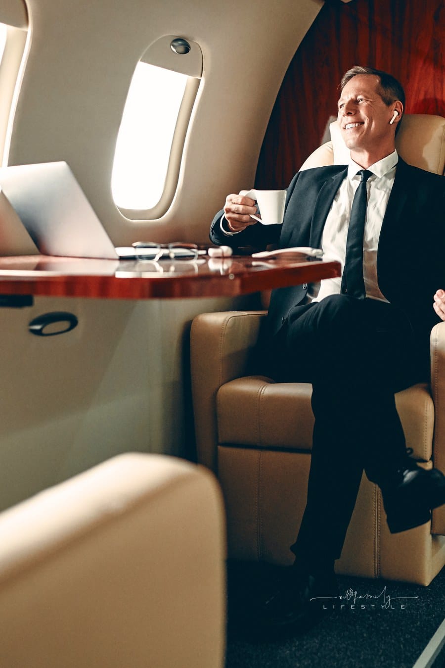 Businessman in private charter plane