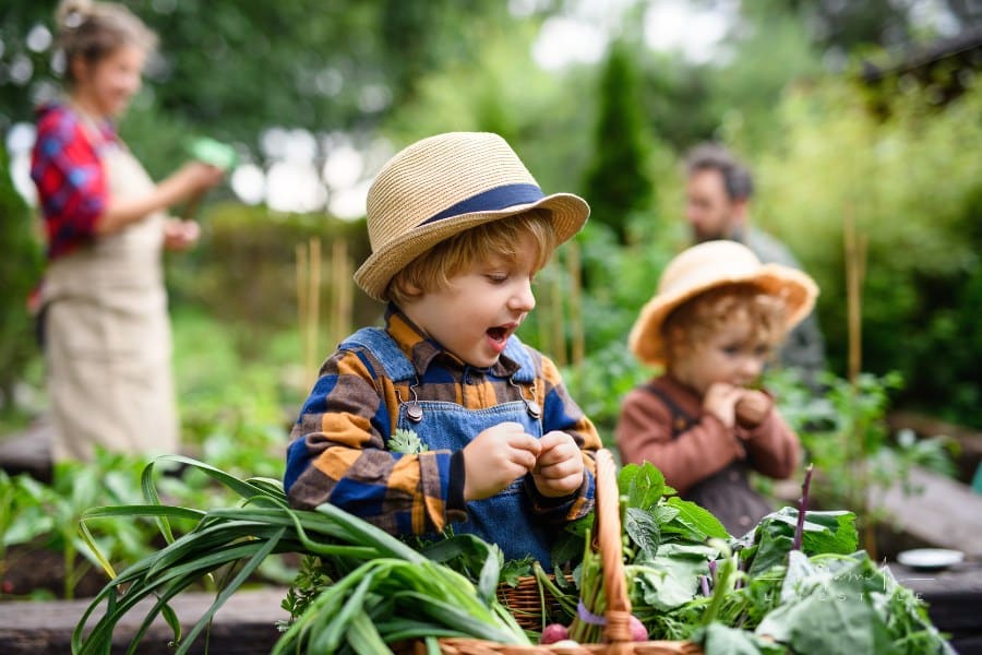 How Families Can Start a Small Hobby Farm