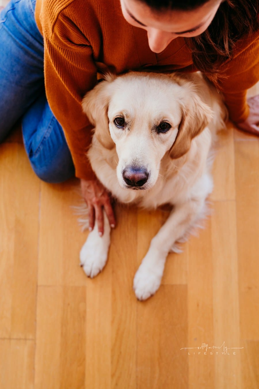 topview of Woman Hugging Her Golden Retriever Dog at Home