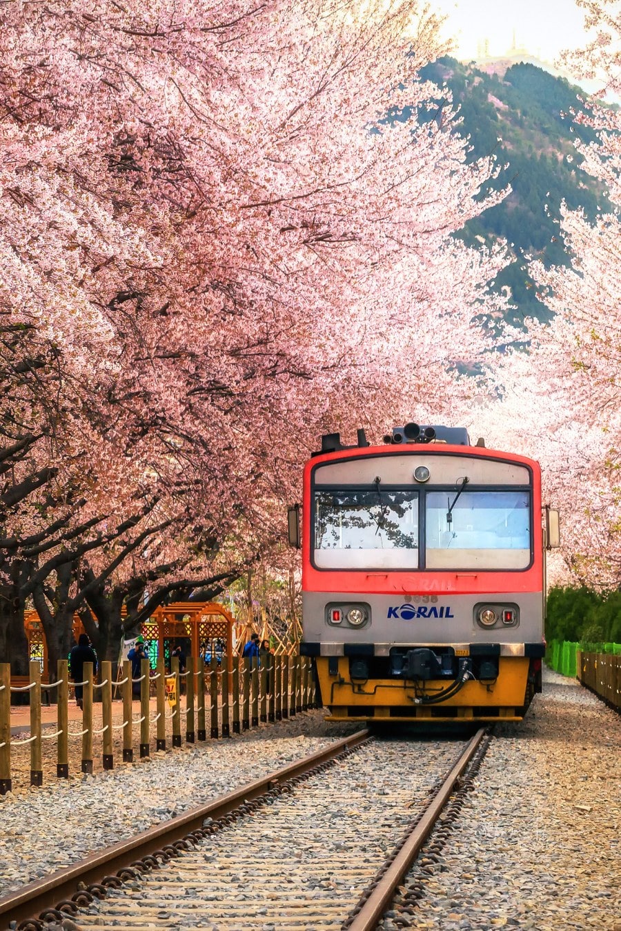 Korail Train in Gyeonghwa Station