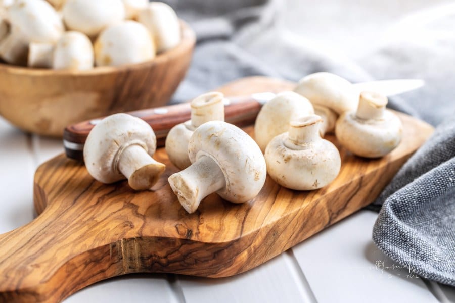 Fresh white mushroom mushrooms.