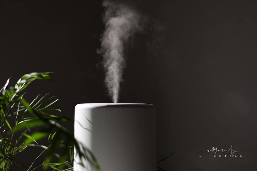 Air purifier and humidifier releases strong stream of cold steam close green houseplant. Care and hydration of houseplants in dry air. Healthy lifestyle concept. Fresh air, cleaning and removing dust